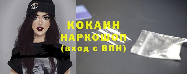 стаф Надым