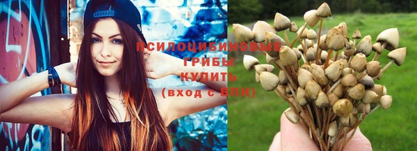 гидропоника Абинск