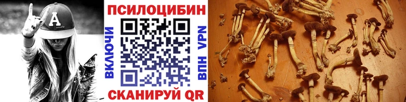 Галлюциногенные грибы GOLDEN TEACHER  Шумиха 